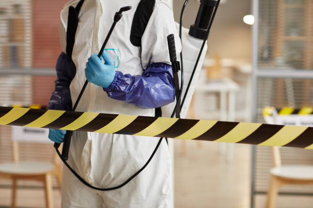 Professional Sewage Cleanup technician working in New Vienna, OH