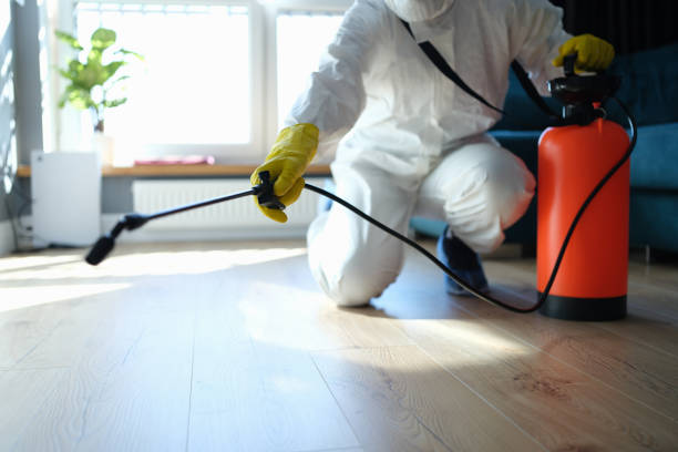 Reliable Sewage Cleanup contractor in New Vienna, OH by Trauma Clean Pros